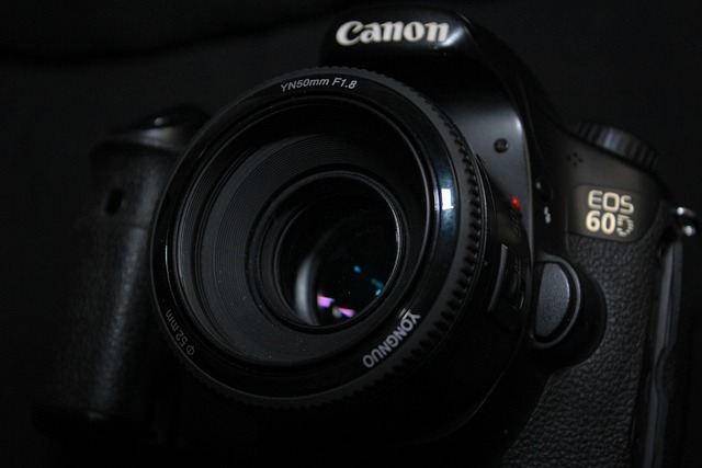 canon-5011526_640.jpg